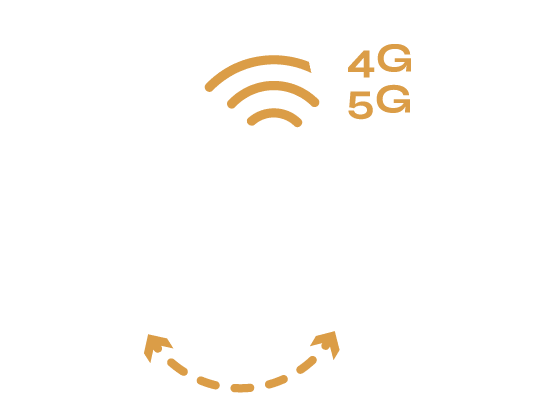 Infogérant - Dompteur de serveurs - Télécom entreprises - Continuité de service